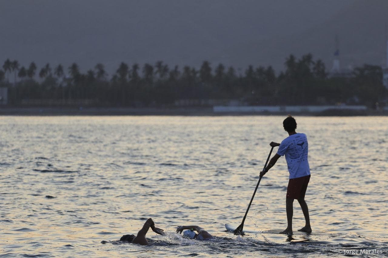 Paddle