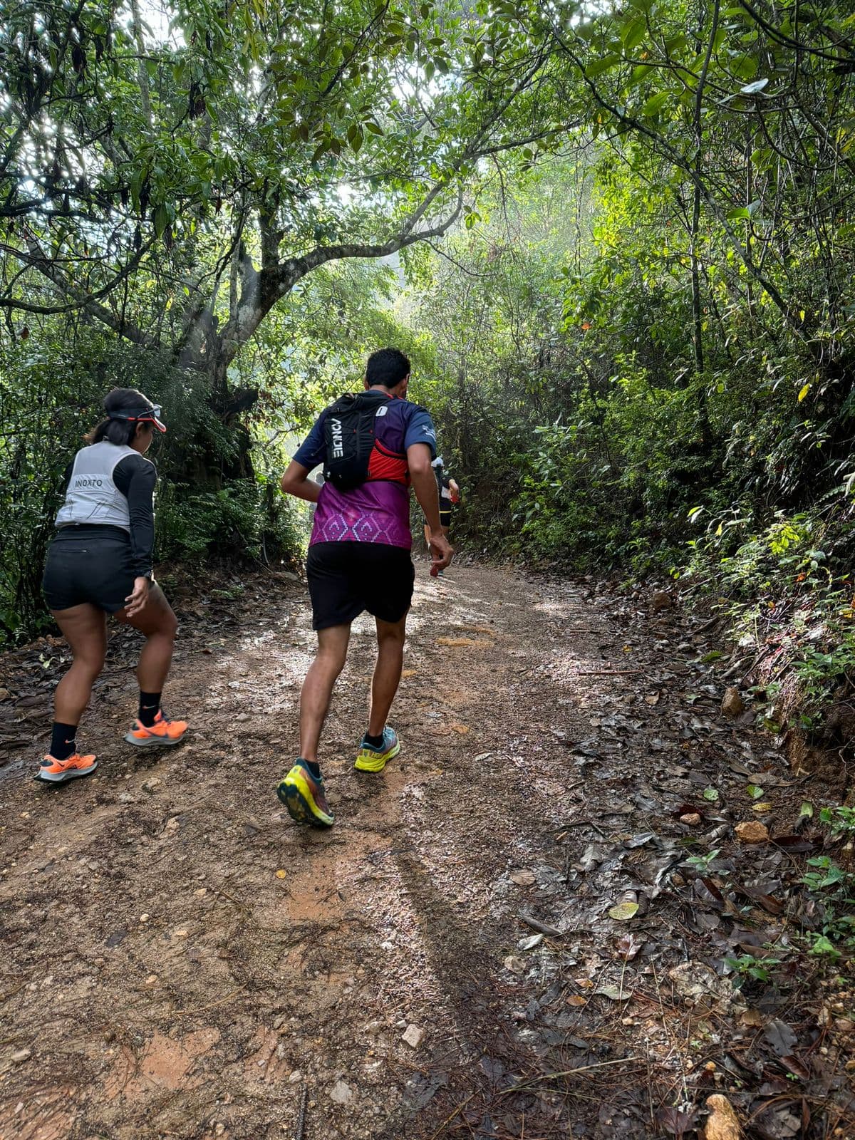 Trail Montaña